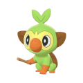 Grookey (Grassy Surge)