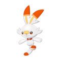 Scorbunny (Libero)