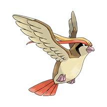 pidgeot