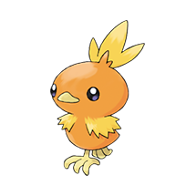 torchic