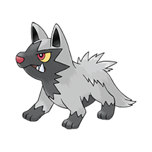 poochyena