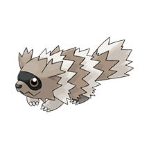 zigzagoon