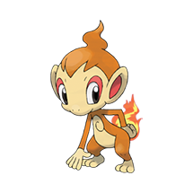 chimchar